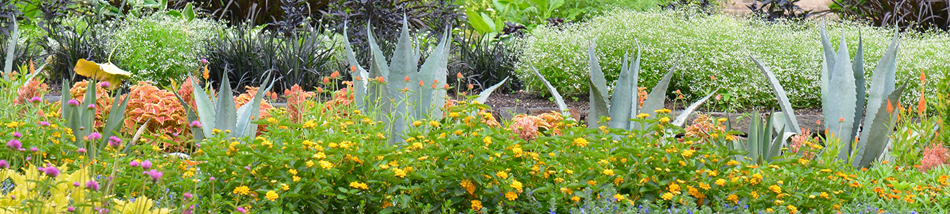 Gardens on the campus of Duke University.